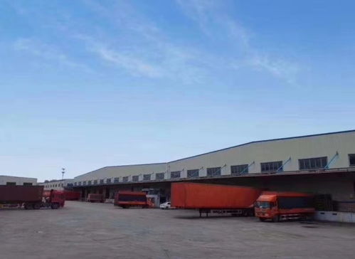聚焦冷链物流 广州华平货代扩仓至12000㎡，加码专业食品仓储服务